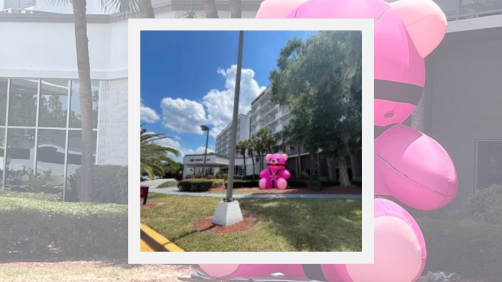 Giant, Inflatable Pink Teddy Bear in Bondage Gear Was Displayed at Hotel Near Disney World?